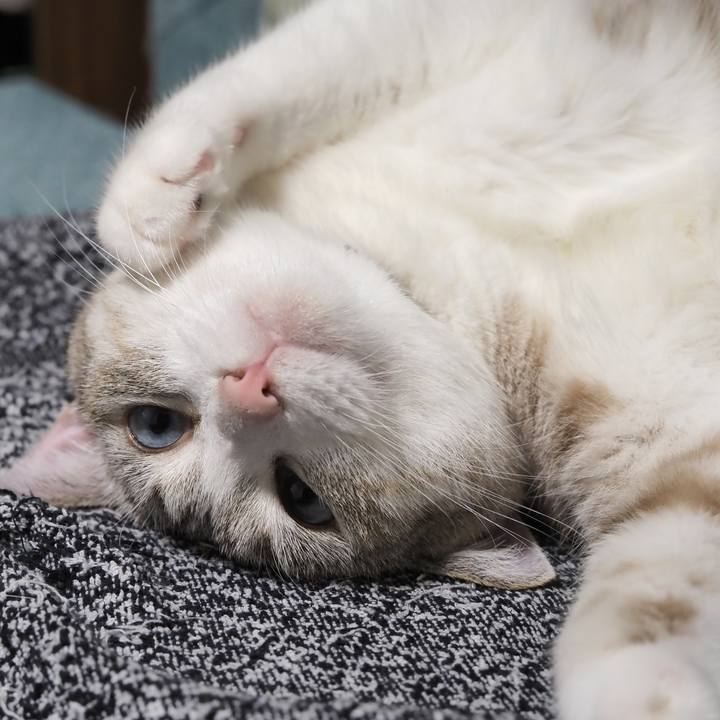 061b6e33 2e46 421d 87e6 104bb1091a82 1599314187170