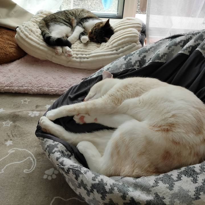 061bb383 800d 4786 9336 d03a9aa04da3 1649825835964