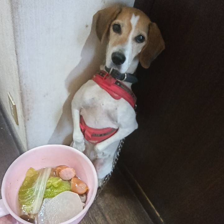 061bcc29 dc93 4bf2 9e38 c72581a399c2 1728634482654