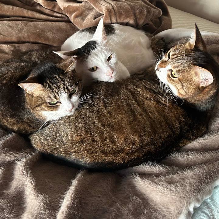 061c5557 db64 4352 82b0 d72451f7b0e2 1767071984712