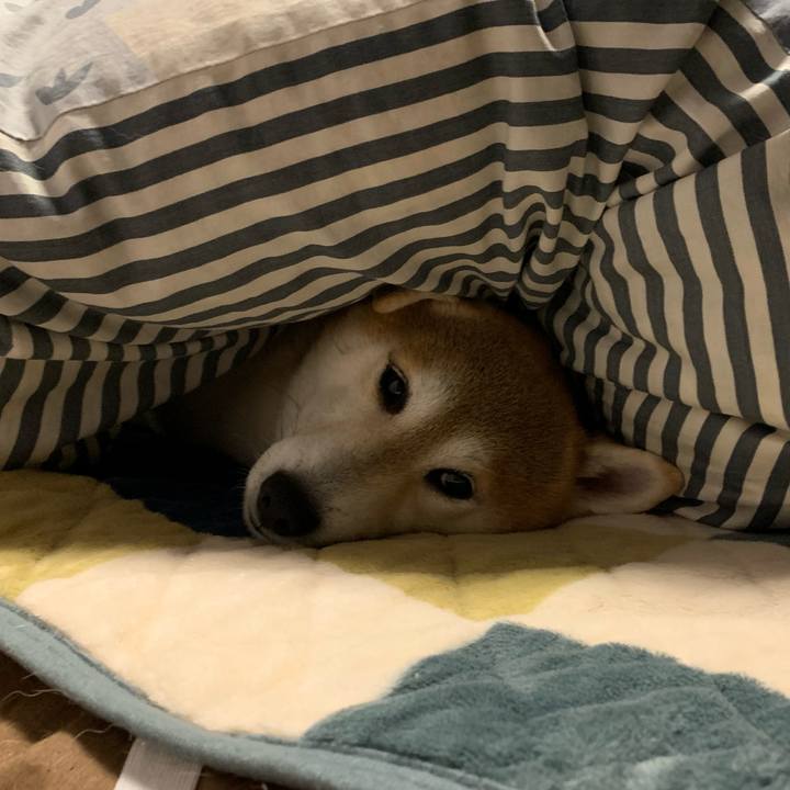 061c59e3 3499 4fec 9d21 e942288983c5 1616246060841