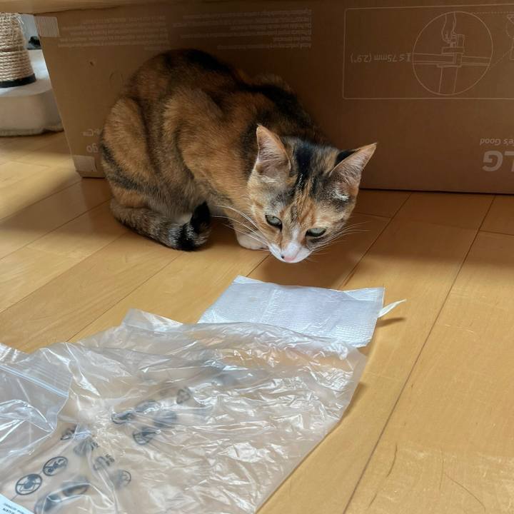 061c7200 5efc 4676 ab00 577059d2b9d0 1684154833109