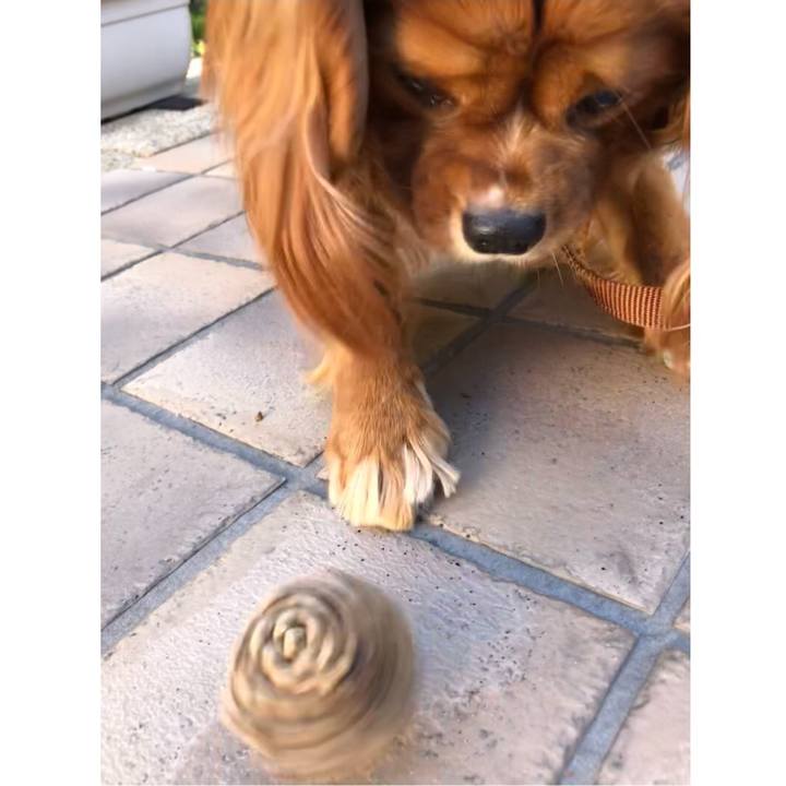 061c7850 5a94 479a ab47 4d18a9a6bf94 1610239483043