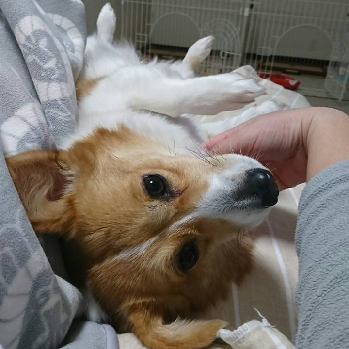 061cb400 3b11 42f7 9204 c4b00d2d182d 1516021792006