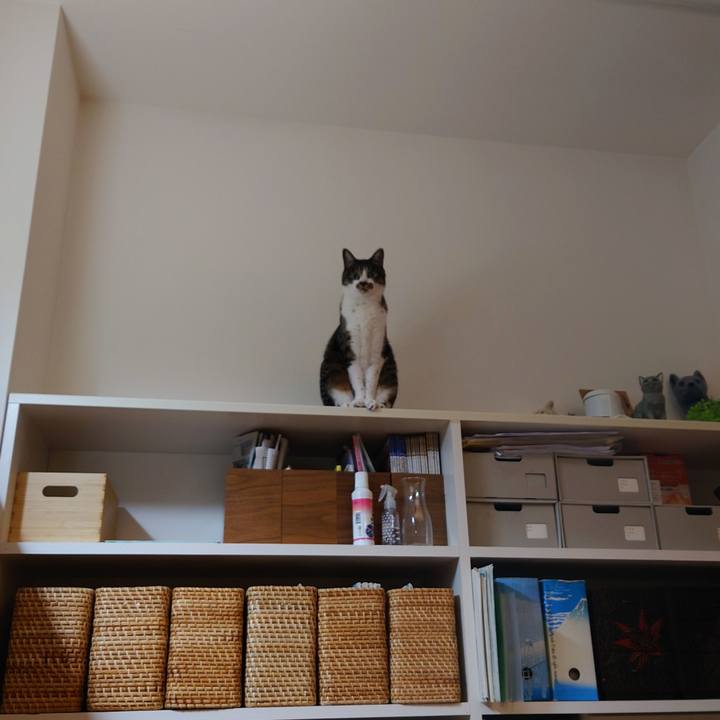 061cc39e a77e 43f9 9913 2151f21ebb02 1762984686020