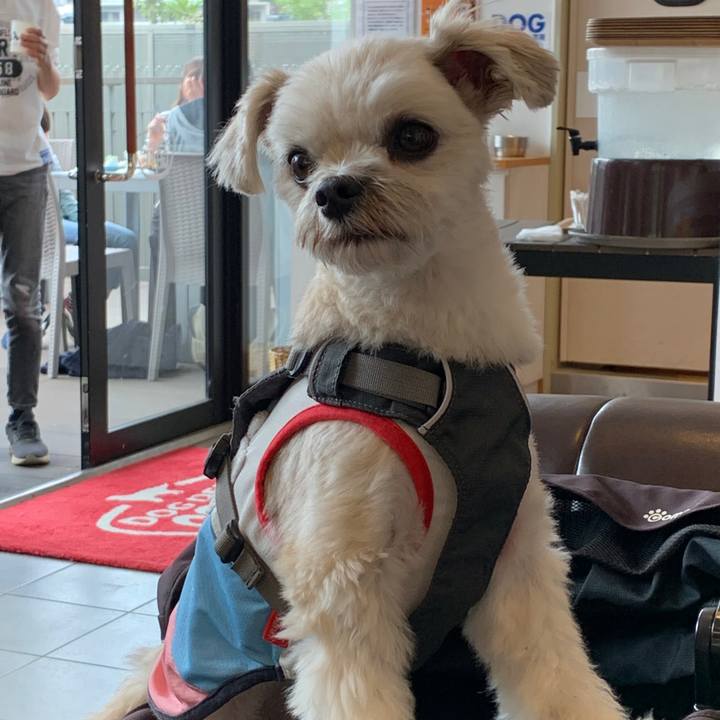 061cc661 abf5 4d52 99cc d610770bf320 1571548107898