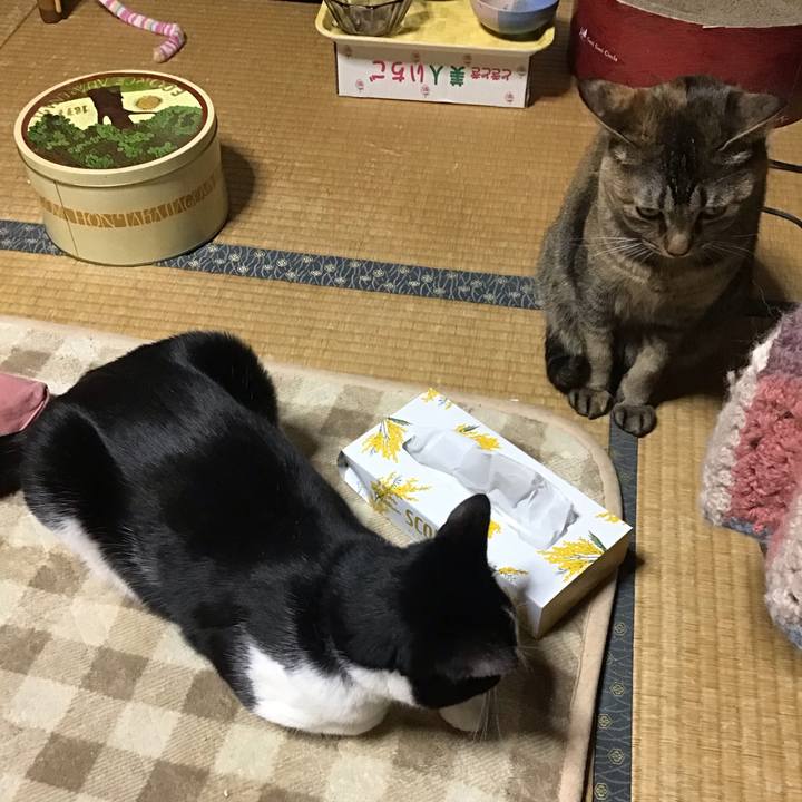 061cd95c 9446 4a01 a96d dfcdedd2fbbc 1644054122587