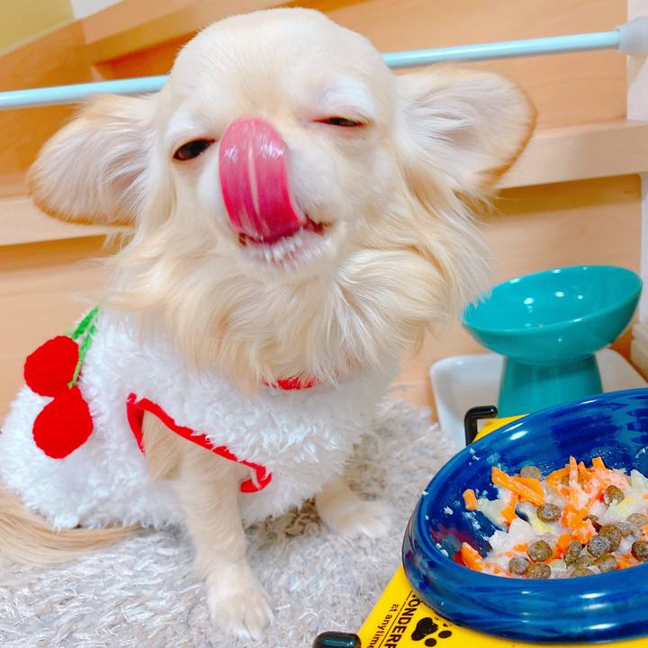 061cf0bb 7202 4b57 9504 639caefd53a5 1644921232324