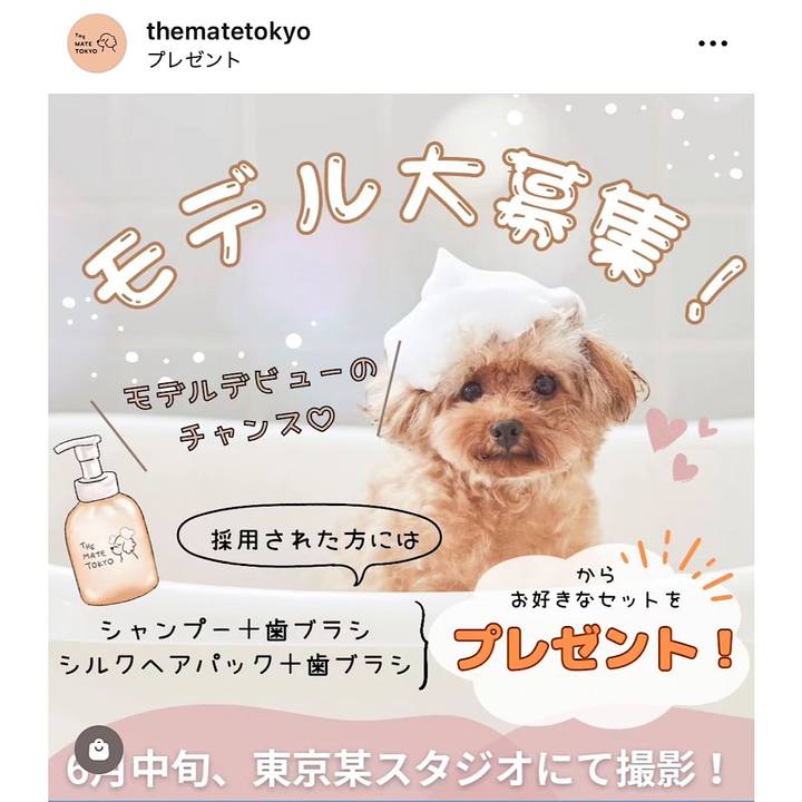 061d3f72 1975 4fae ab3c 4329ee348403 1686956331088