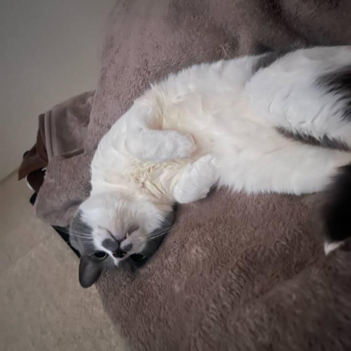 061d8624 508b 4f23 ba0a 0f5165ec3060 1742342563690