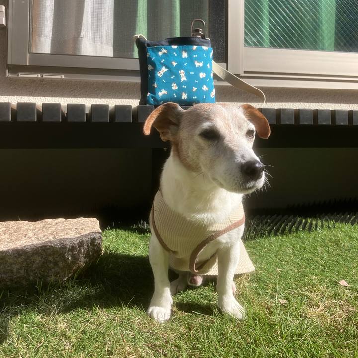 061dc1b5 928a 4b98 b795 f8c869c8ace8 1762736588990