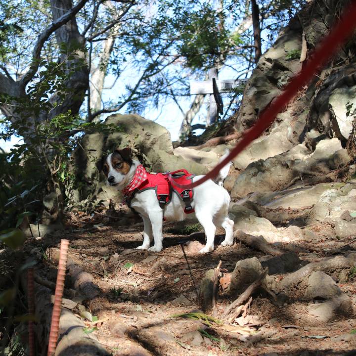 061de18c 1f2b 43e8 9aa8 373de205f71b 1520055592317