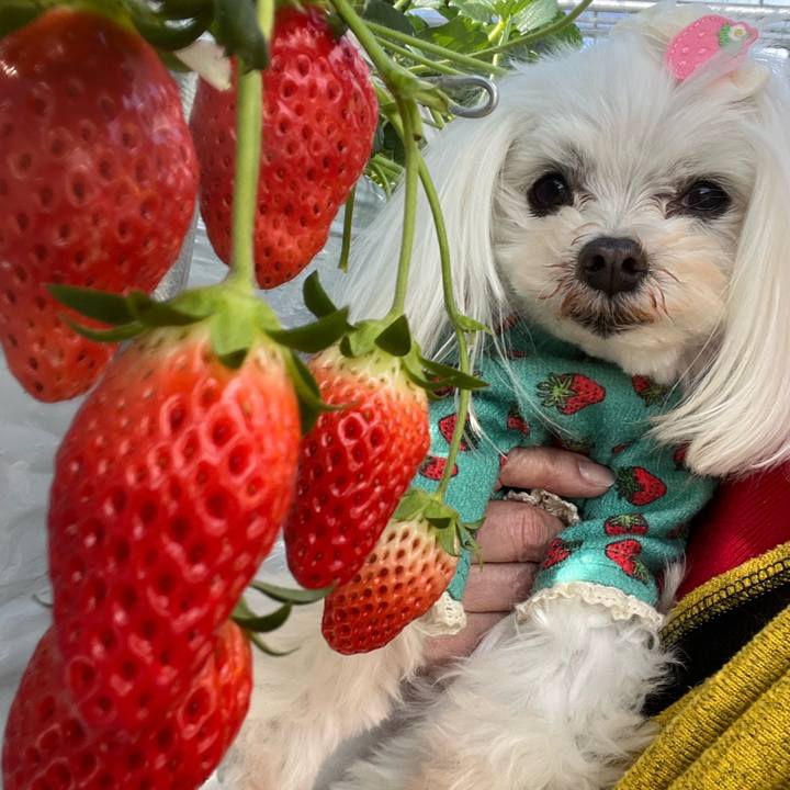 061dfed3 32b4 4a7c bb4d 9850d4757194 1769603398458