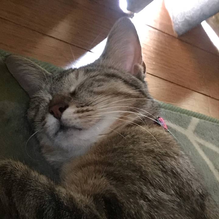 061e04cb c577 47eb b988 8f9b9f192218 1584582306264