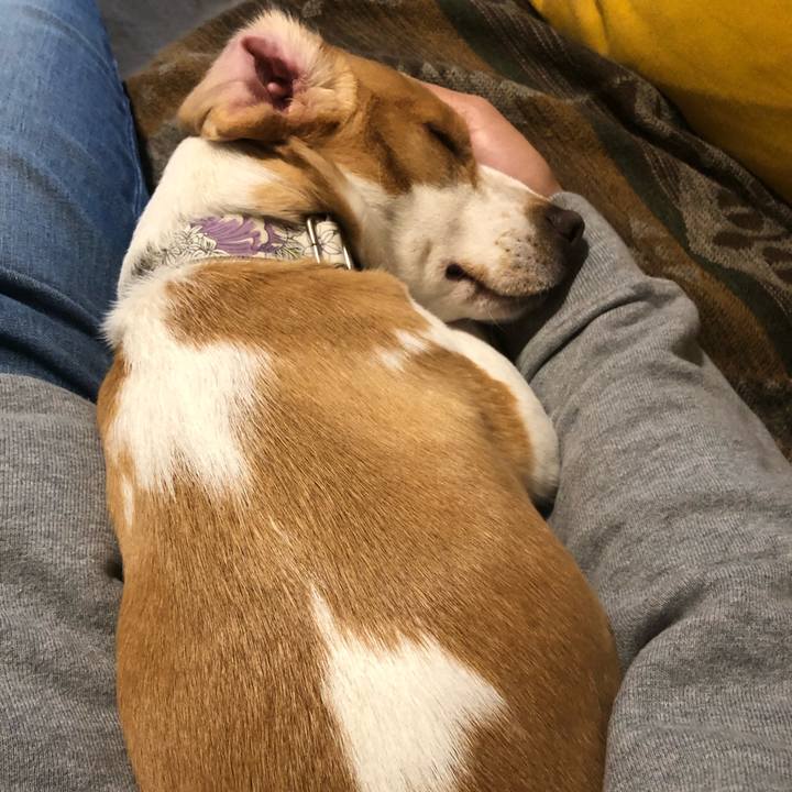 061e0848 f024 4724 bd1a 8c8c492c633d 1577702088604