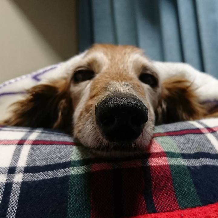 061e33ba a63d 4fe7 91dd ee68ce849ade 1519789345348