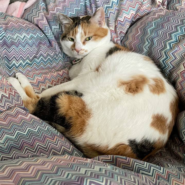 061e441b ad80 4439 b102 d2be481c5dcc 1712014518366