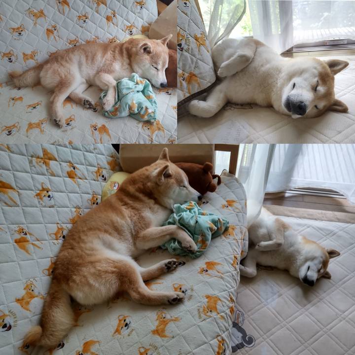 061e5482 fceb 4f2f bd47 3dfd47aa65dd 1752312623515