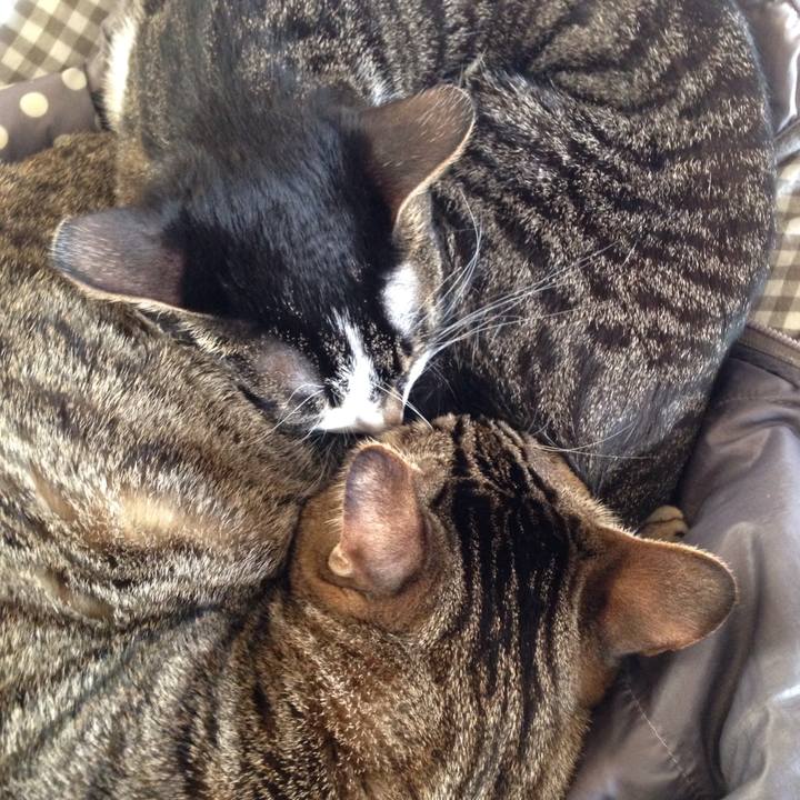 061e84bd be4a 436a 9d0e d7ef6484b49e 1512228789135