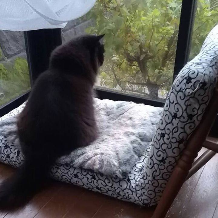 061ec0d2 49a6 451b bc0c 642b02221550 1508203011968