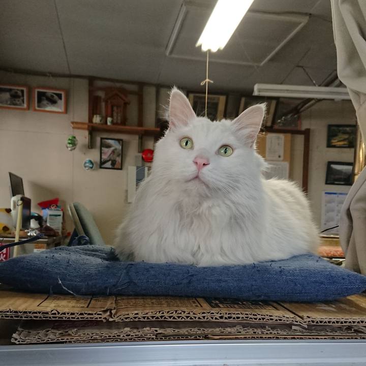 061ef805 3bf7 42e3 9637 8a773c5c9cf7 1558477495629