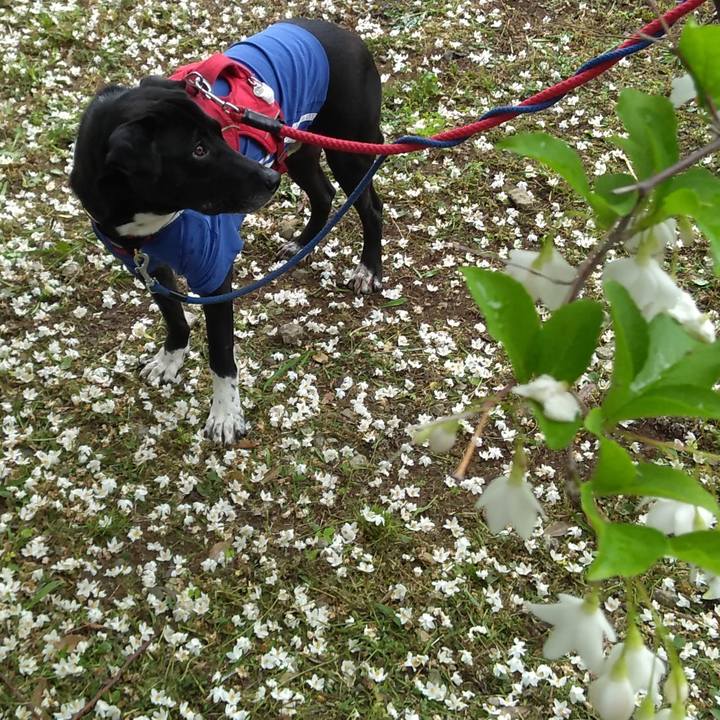 061f29a6 1d09 449a 85b9 8fae625e3445 1620863776746