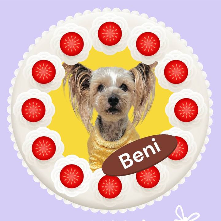 061f35a3 639a 491c b606 5d2a314e36cd 1737156319423