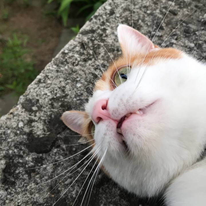 061f466b 75b5 4e78 b9ff f9c5c1b23af9 1534928344431