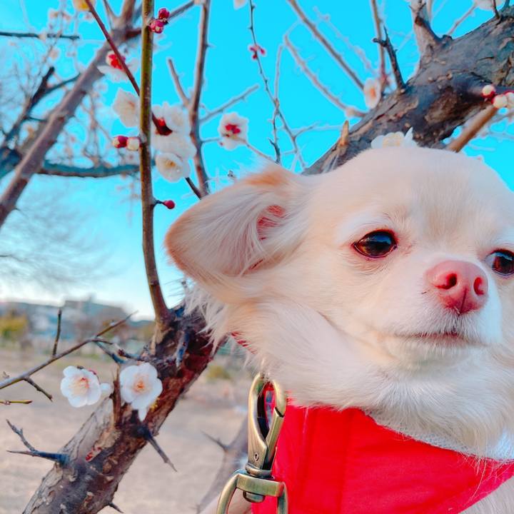 061f6dc1 40da 47f8 9304 949b6c9ed41b 1644223061324