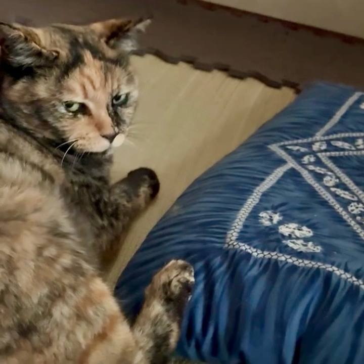 061f7ac7 bdea 4e25 b683 5790b77883c2 1754706697179