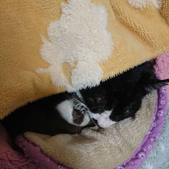 061f9e0b 85da 4229 ada2 34eea595ade0 1579521040652