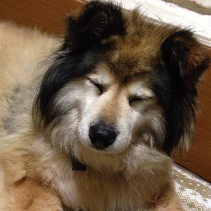 061fc95c 0dec 4f1d 9ebe 528c68336462 1554937761529