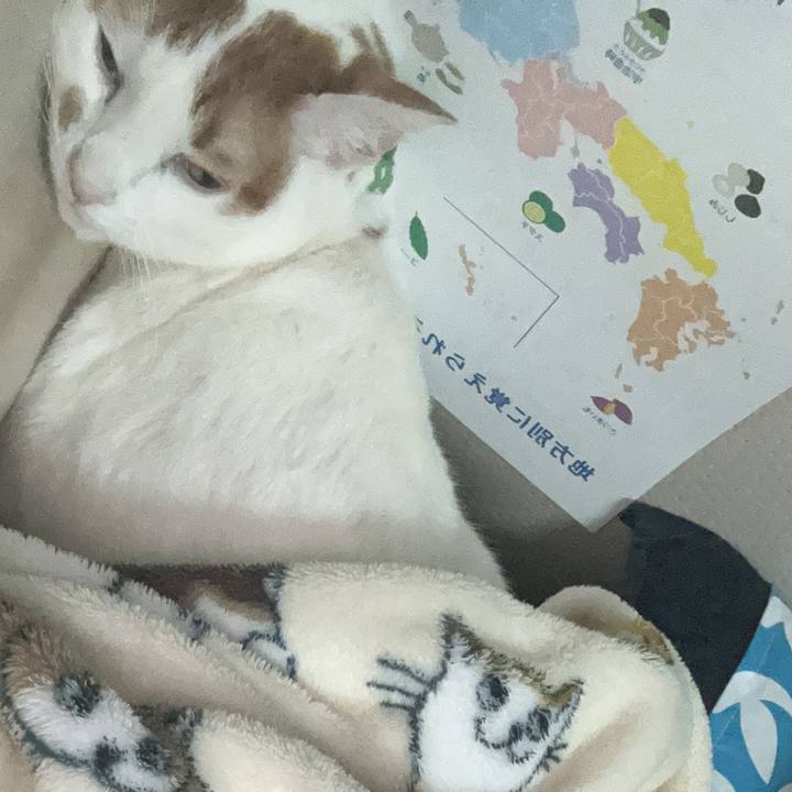 061fd144 2545 4b54 a059 0d8ddfb73f47 1764955563294