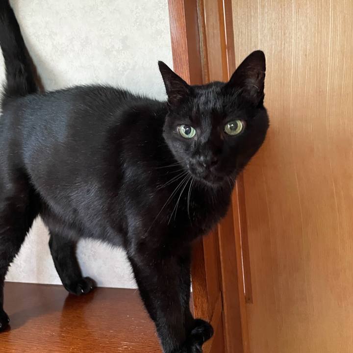 061fd3fe ffbd 4d94 aa52 4b7312146ad9 1631152220043