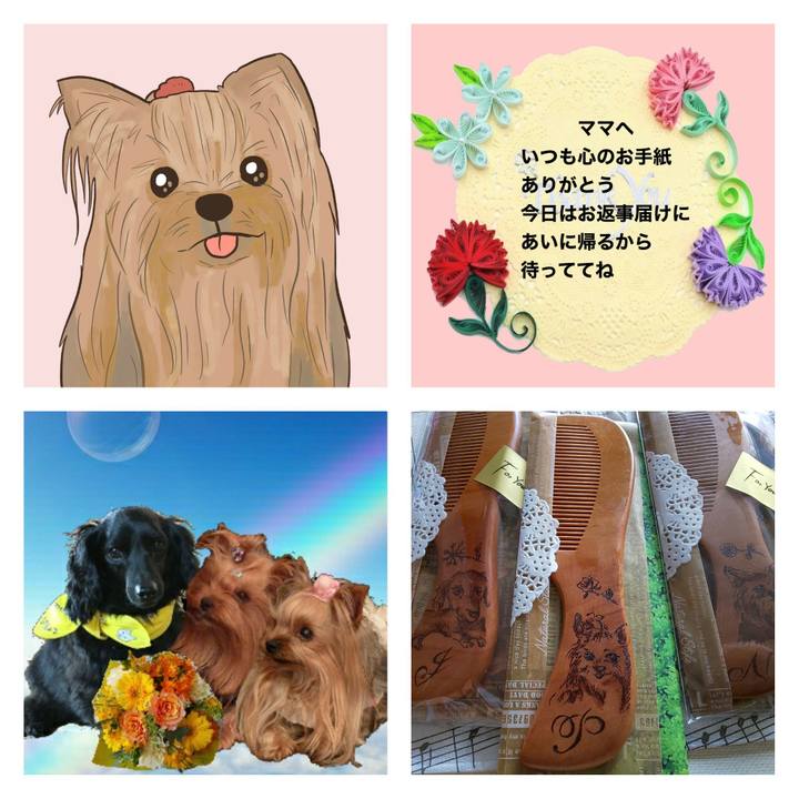 061feb06 a55a 49cb b84d 8db16672c80a 1620546128208