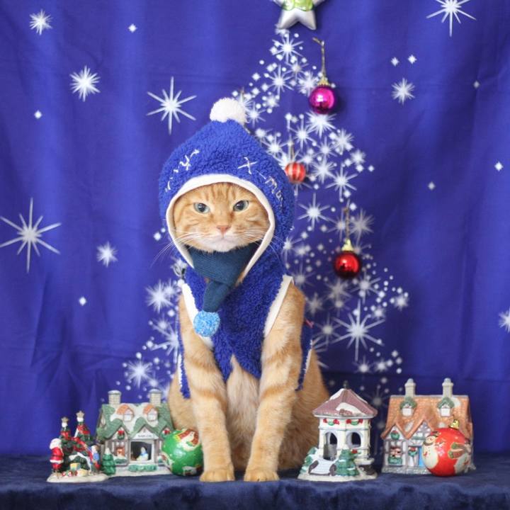 061ff191 1f12 4777 927b 02724e89ac26 1735122540406