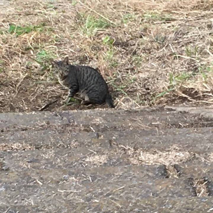 062012cc 397d 4298 81cb e71648ca032c 1604383383351