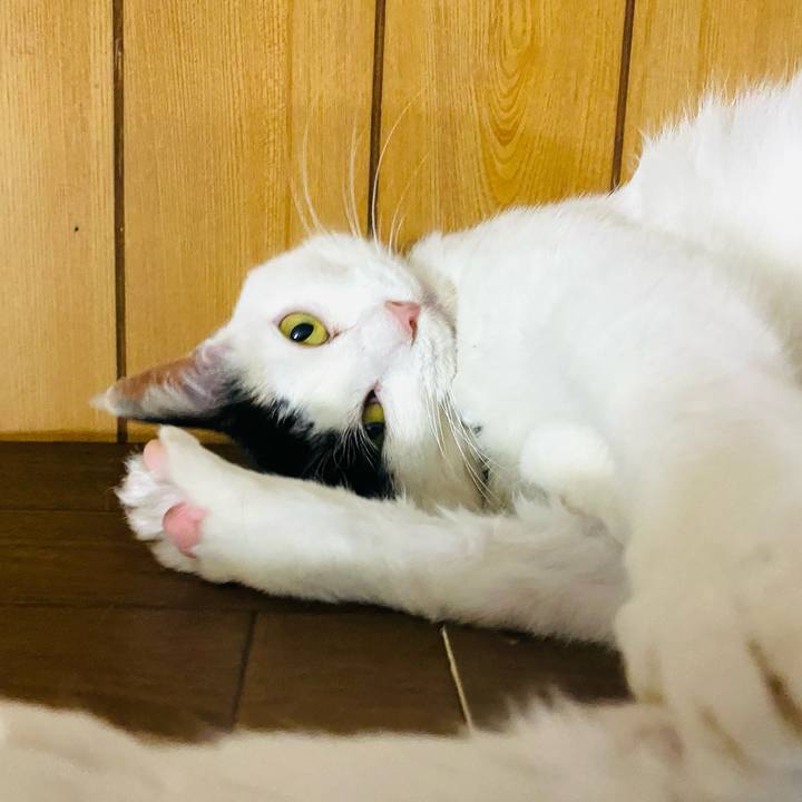 06203776 ce5e 4940 9adb 8527cd8a4d62 1654896206249