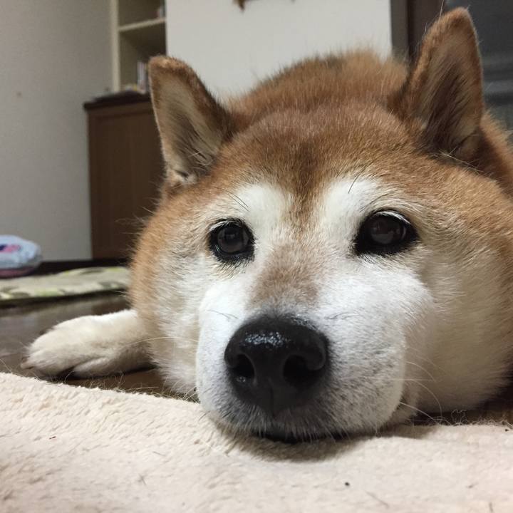 062069f1 7b28 409b 9b24 9d083754a494 1531909975328