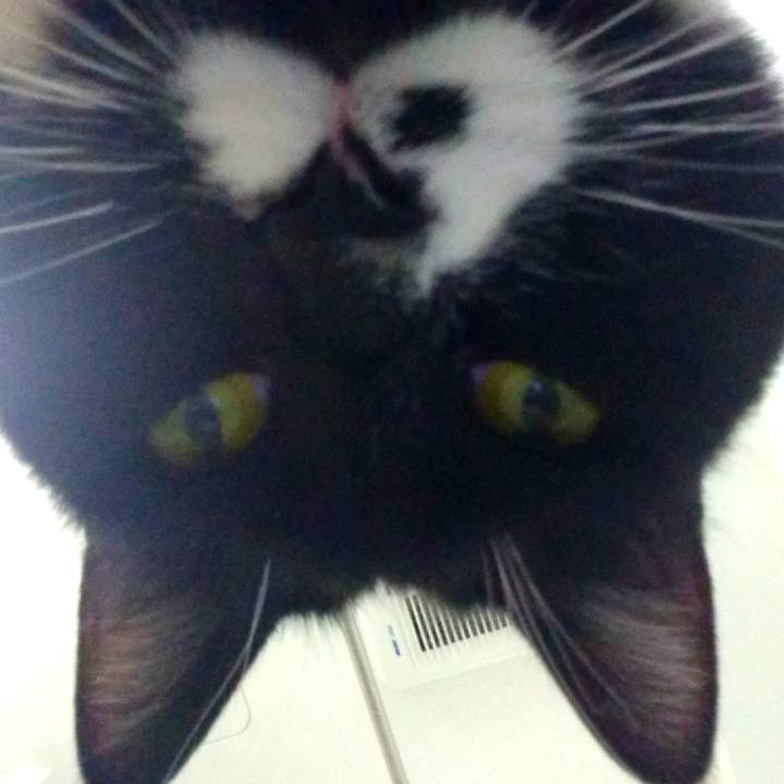 06208ce2 525e 4c4d a5d7 072fd6cbd19a 1524268287768