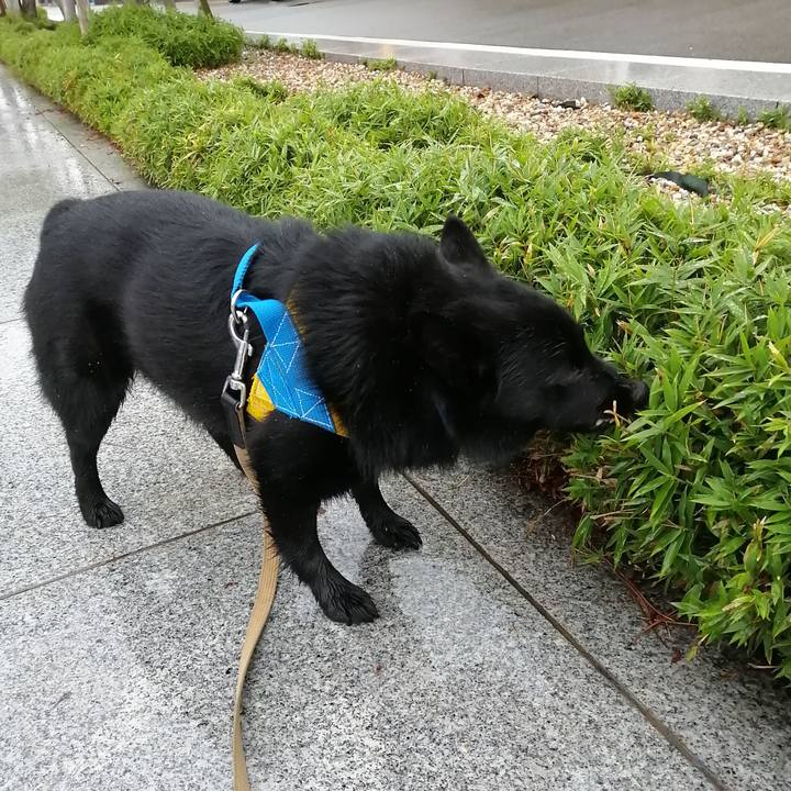 0620b1d0 ac9f 4698 9ba4 59eab0e1ae32 1592003773029