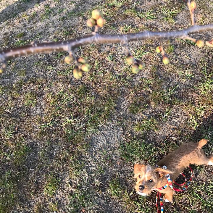 0620b4ed 7102 4376 afbc c8c8b925f13d 1522227814007