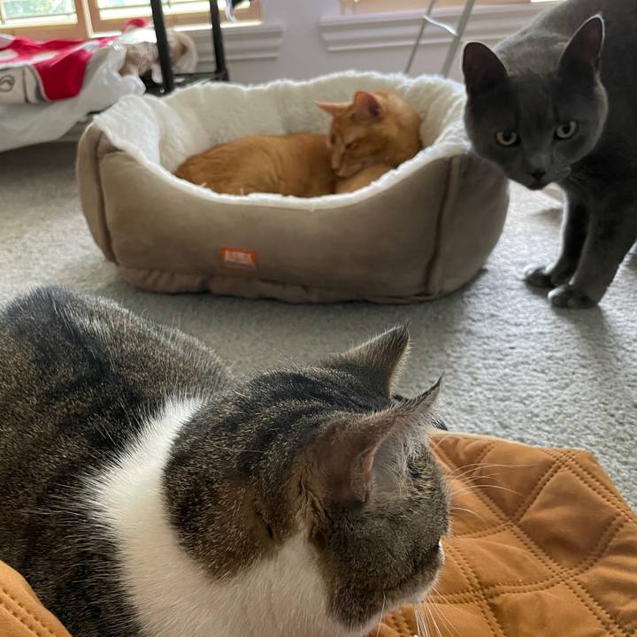 0620d8f4 961b 4571 bbc1 12fe30b06b41 1694871009433