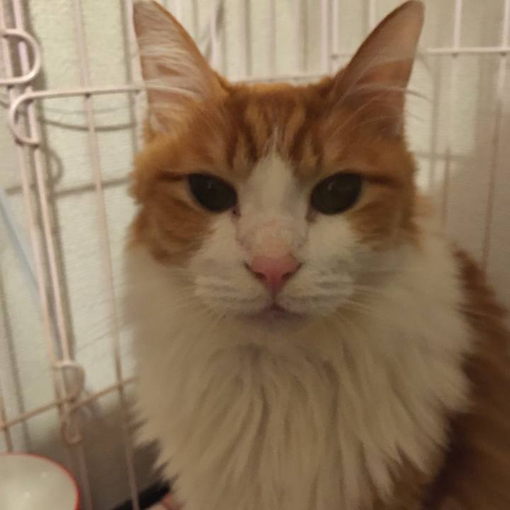 0620ec09 3c61 4a27 9f23 d5076758f9ba 1574933397604