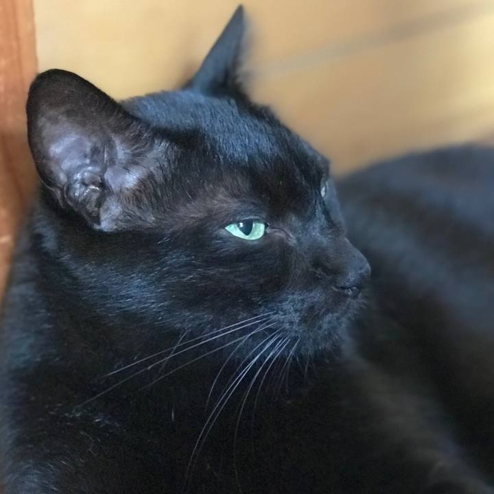 06210341 e6f3 4235 8917 df18f71633ff 1535590661691