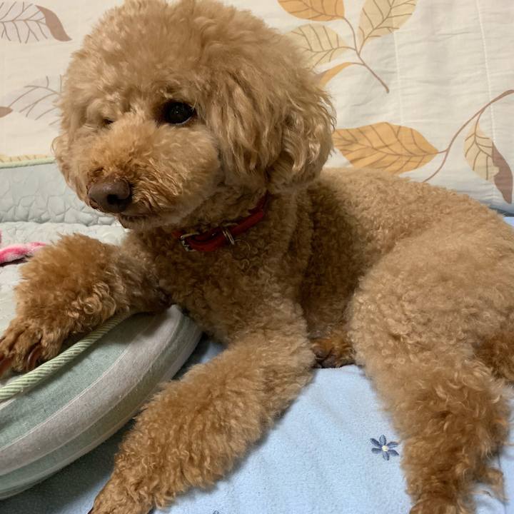 06211c4f c5cd 4f06 bc2a 075fa3710748 1560548910864