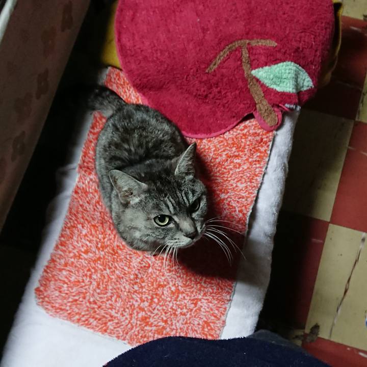 06212f1b 8920 4747 aff4 712c4205233f 1552596486075