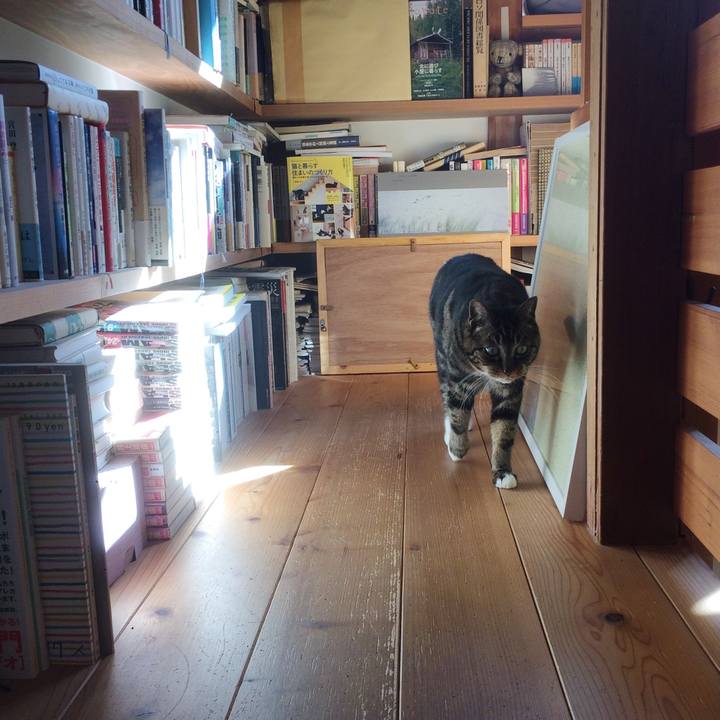 06216deb e785 479f 9ba3 c54b9b033586 1581208456381