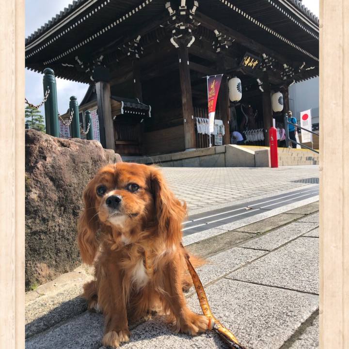 062177d6 932d 4847 8206 9fea24a4d6d2 1621729007608