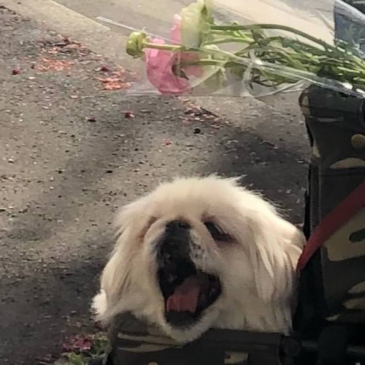 06219c7b 2959 4d8c a003 9bcbe604492e 1583742229691